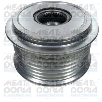 Alternator Freewheel Clutch